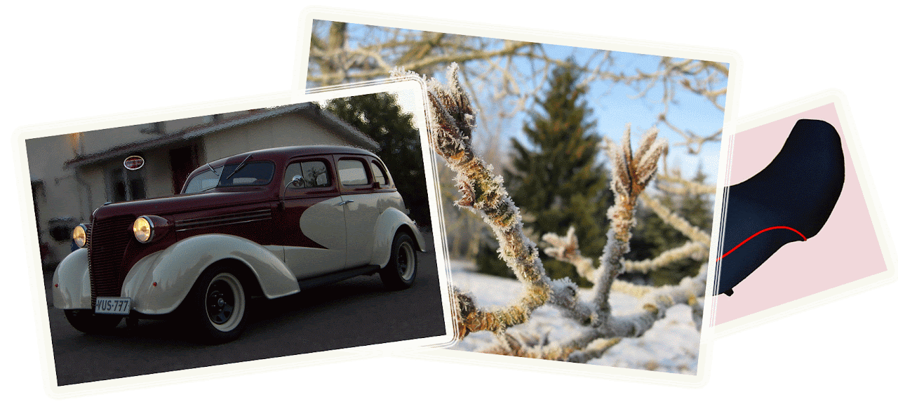 Valikoima kuvia. Rodi, puun oksia ja satula.